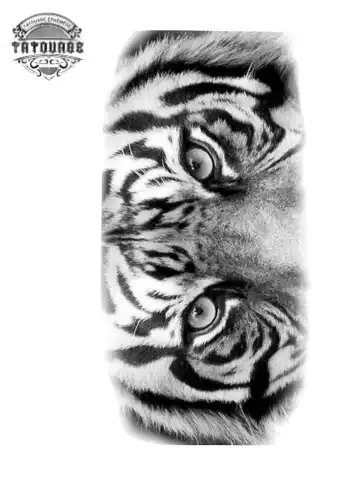tatouage ephemere avant bras yeux de tigre Tatouage éphémère avant bras yeux de tigre