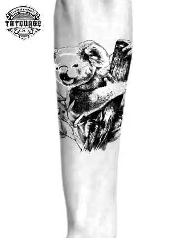 tatouage ephemere bras koala photo Tatouage éphémère bras koala