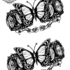 tatouage ephemere cheville papillon Tatouage éphémère cheville papillon