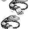tatouage ephemere lezard cheville Tatouage éphémère lézard cheville