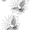 Tatouage éphémère main colombe