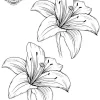 tatouage ephemere main orchidee Tatouage éphémère main orchidée