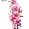 tatouage ephemere orchidee mollet Tatouage éphémère orchidée mollet