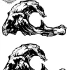tatouage ephemere vague hanche Tatouage éphémère vague hanche