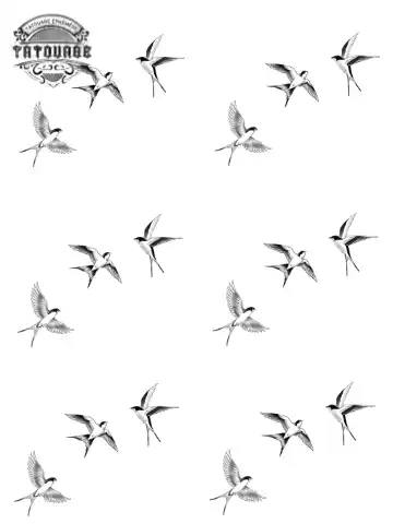 petit tatouage ephemere 3 petit oiseau petit tatouage éphémère 3 petit oiseau