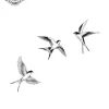 petit tatouage ephemere 3 petit oiseau gros plan petit tatouage éphémère 3 petit oiseau