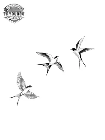 petit tatouage ephemere 3 petit oiseau gros plan petit tatouage éphémère 3 petit oiseau