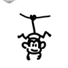 petit tatouage ephemere animaux gros plan petit tatouage éphémère animaux