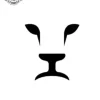 petit tatouage ephemere lion homme gros plan petit tatouage éphémère lion homme
