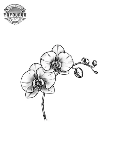 petit tatouage ephemere orchidee gros plan petit tatouage éphémère orchidée