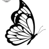 petit tatouage ephemere papillon femme gros plan petit tatouage éphémère papillon femme