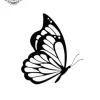 petit tatouage ephemere papillon gros plan petit tatouage éphémère papillon