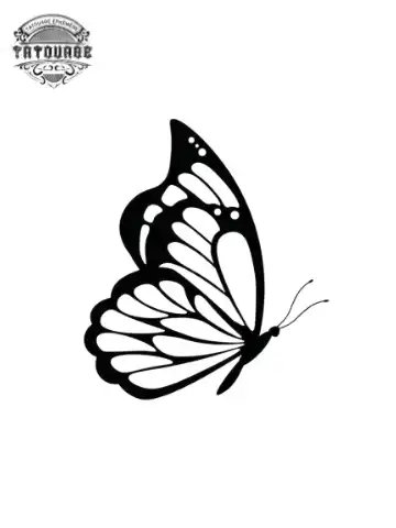 petit tatouage ephemere papillon gros plan petit tatouage éphémère papillon