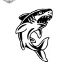 petit tatouage ephemere requin gros plan petit tatouage éphémère requin