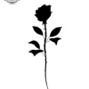 petit tatouage ephemere rose noire gros plan petit tatouage éphémère rose noire