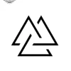 petit tatouage ephemere viking gros plan petit tatouage éphémère viking