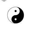 petit tatouage ephemere yin yang gros plan 2 petit tatouage éphémère yin yang